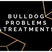 Bulldogs Problems and Treatments